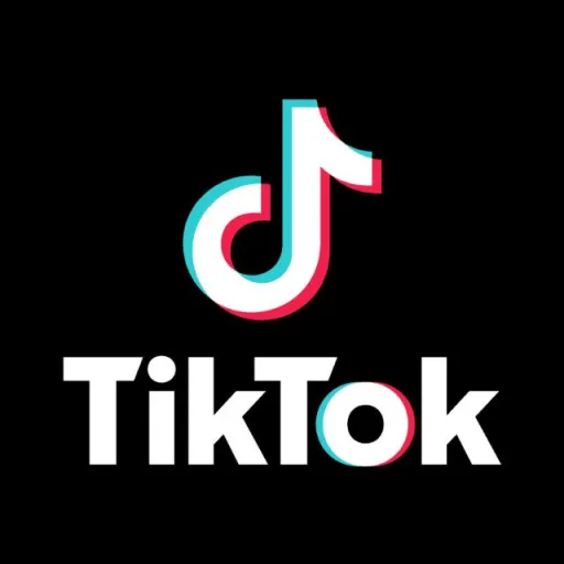 TIKTOK ADS AGENCY+BUSSNISE CENTER WhatsApp Group Icon - Social Media Promotion