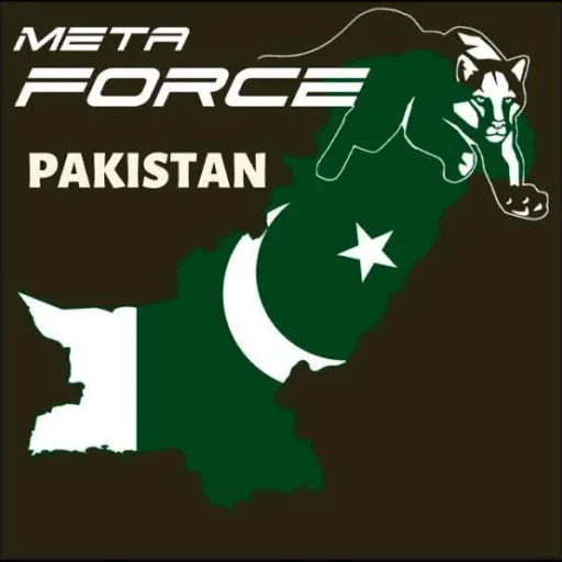 Online earning for Mata force WhatsApp Group Icon - Any Category