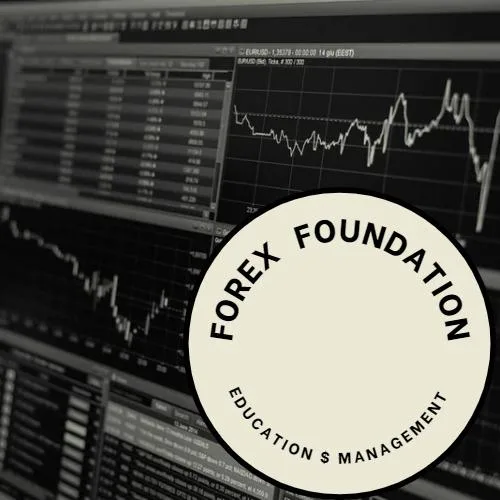 FOREX FOUNDATION VIP WhatsApp Group Icon - Any Category