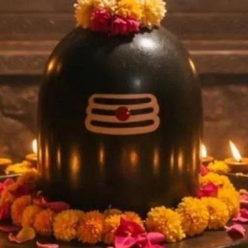श्याम भाई खाईवाल WhatsApp Group Icon - Adult 18+ & Hot