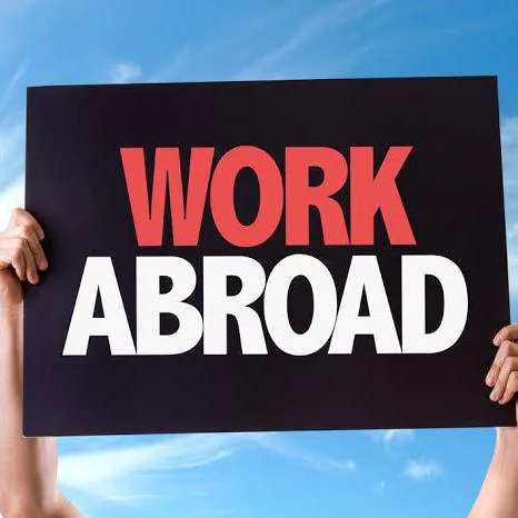 JOB VACANCIES (INTERNATIONAL OR NATIONAL) WhatsApp Group Icon - Jobs & Career