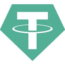 USDT SALLER WhatsApp Group Icon - Business