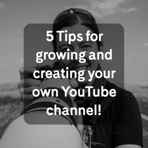 Channel grow tips  WhatsApp Group Icon - Business